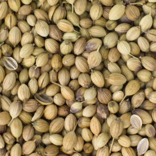 Coriander Seeds